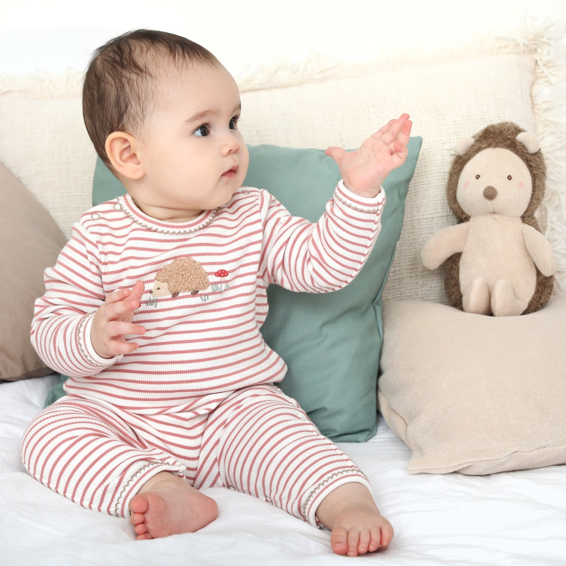 Albetta Henri Hedgehog Applique Babygro