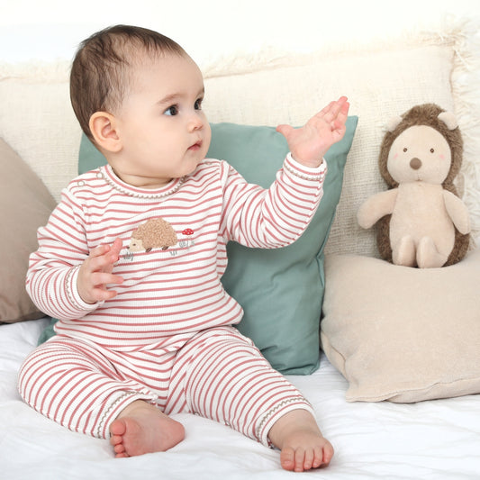 Albetta Henri Hedgehog Applique Babygro